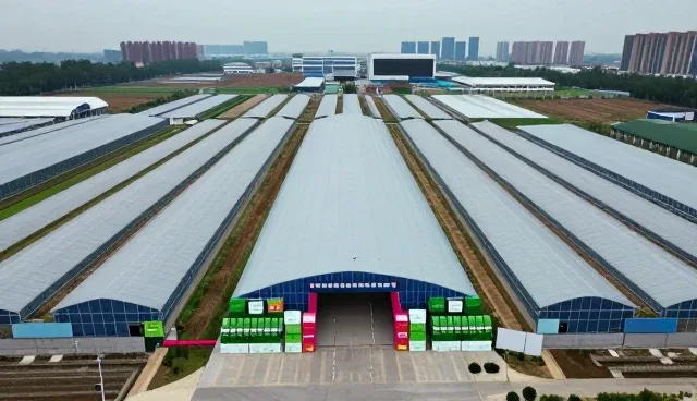 规格定制在农产品加工中的实际应用与价值